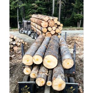 King County Firewood Source 3